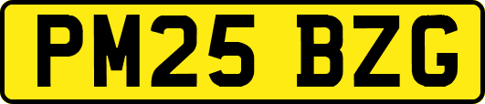 PM25BZG