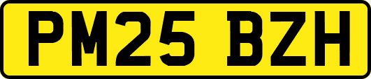 PM25BZH