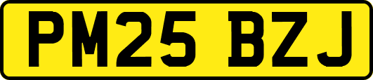 PM25BZJ