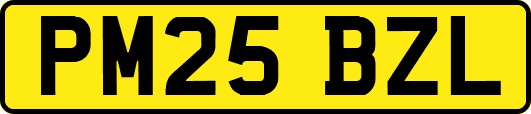 PM25BZL