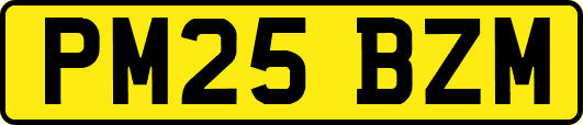 PM25BZM