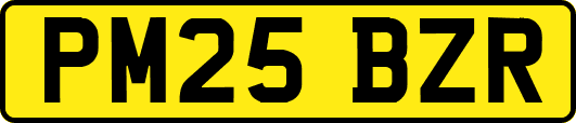 PM25BZR