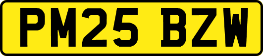 PM25BZW