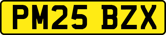 PM25BZX