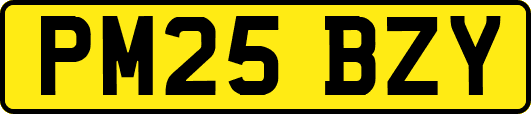 PM25BZY