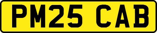 PM25CAB