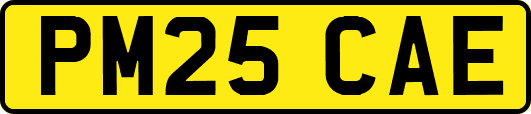 PM25CAE