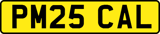 PM25CAL