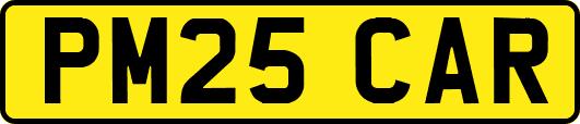 PM25CAR