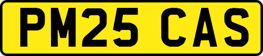 PM25CAS