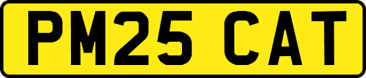 PM25CAT