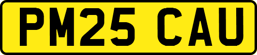 PM25CAU