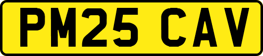 PM25CAV