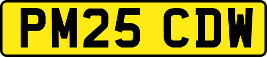 PM25CDW