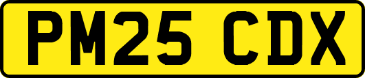 PM25CDX