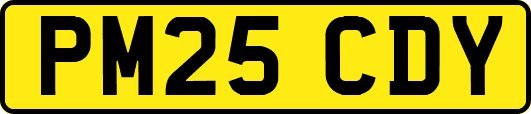 PM25CDY