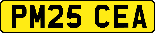 PM25CEA