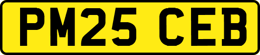 PM25CEB