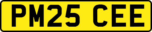 PM25CEE