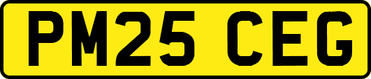 PM25CEG