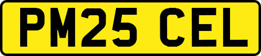 PM25CEL