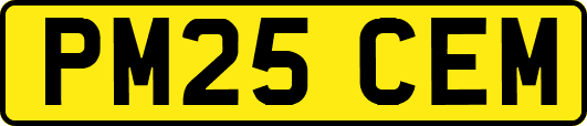 PM25CEM