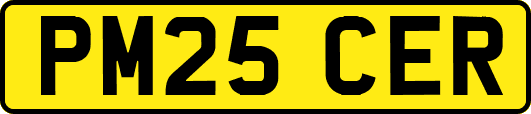 PM25CER