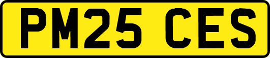 PM25CES