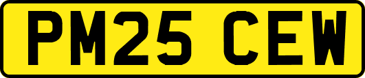 PM25CEW