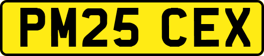 PM25CEX