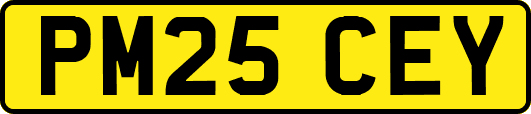 PM25CEY