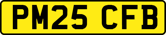 PM25CFB