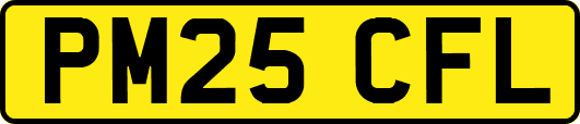 PM25CFL