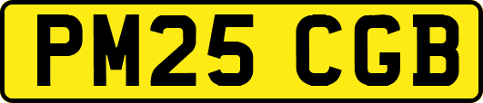 PM25CGB