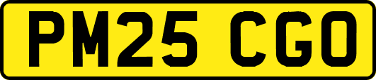 PM25CGO
