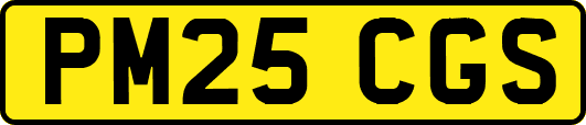 PM25CGS