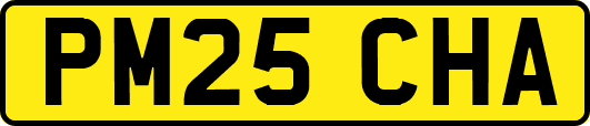 PM25CHA