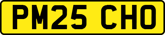 PM25CHO
