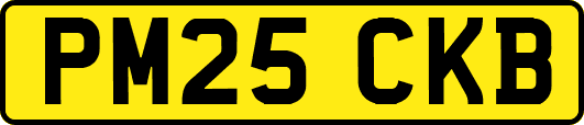 PM25CKB