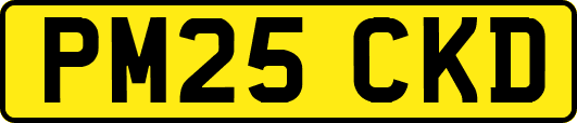 PM25CKD
