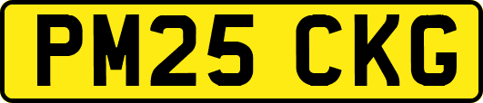 PM25CKG