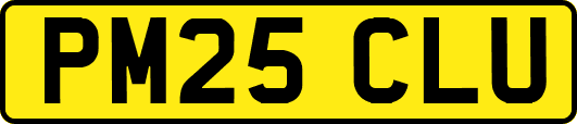 PM25CLU
