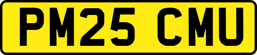 PM25CMU