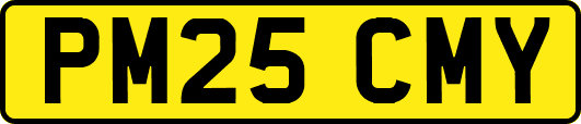 PM25CMY