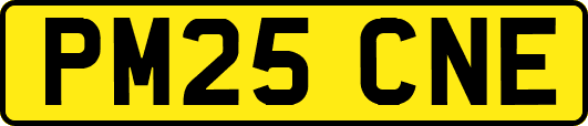 PM25CNE