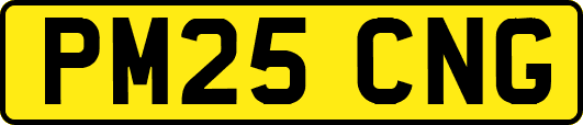 PM25CNG