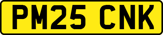 PM25CNK