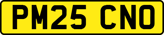 PM25CNO