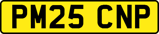 PM25CNP