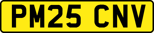PM25CNV